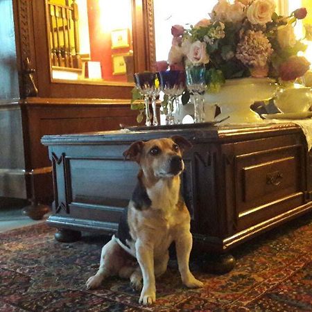 B&B Silvana Travedona Экстерьер фото